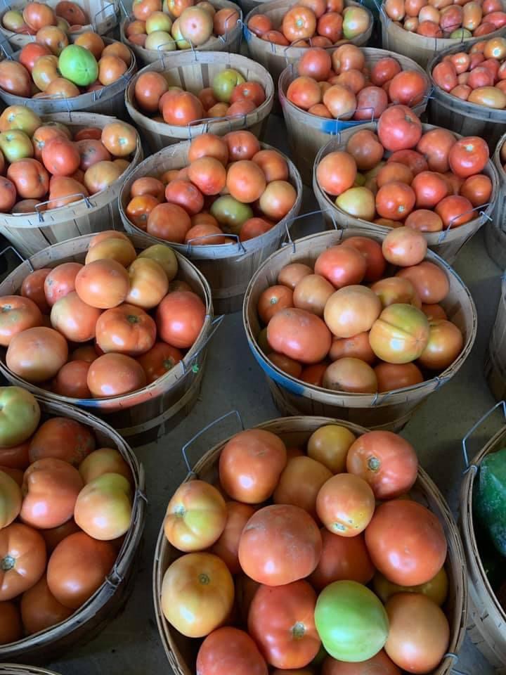 Baker Farm Market and U-Pick Market Fresh Tomatoes