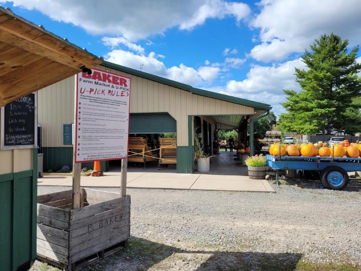 Enjoy Fresh Apples, Pumpkins, and Delicious Treats at Baker Farm!