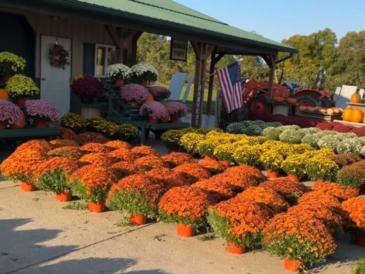 Pumpkins & Fresh Apples: Fall Fun at Baker Farm This Week!